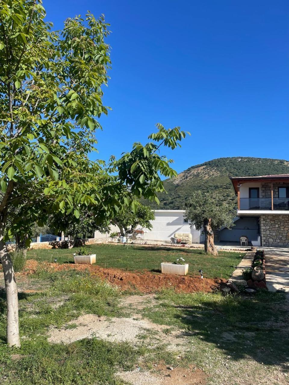 Gospodarstwo wiejskie Ambelas Guest 4 Himara